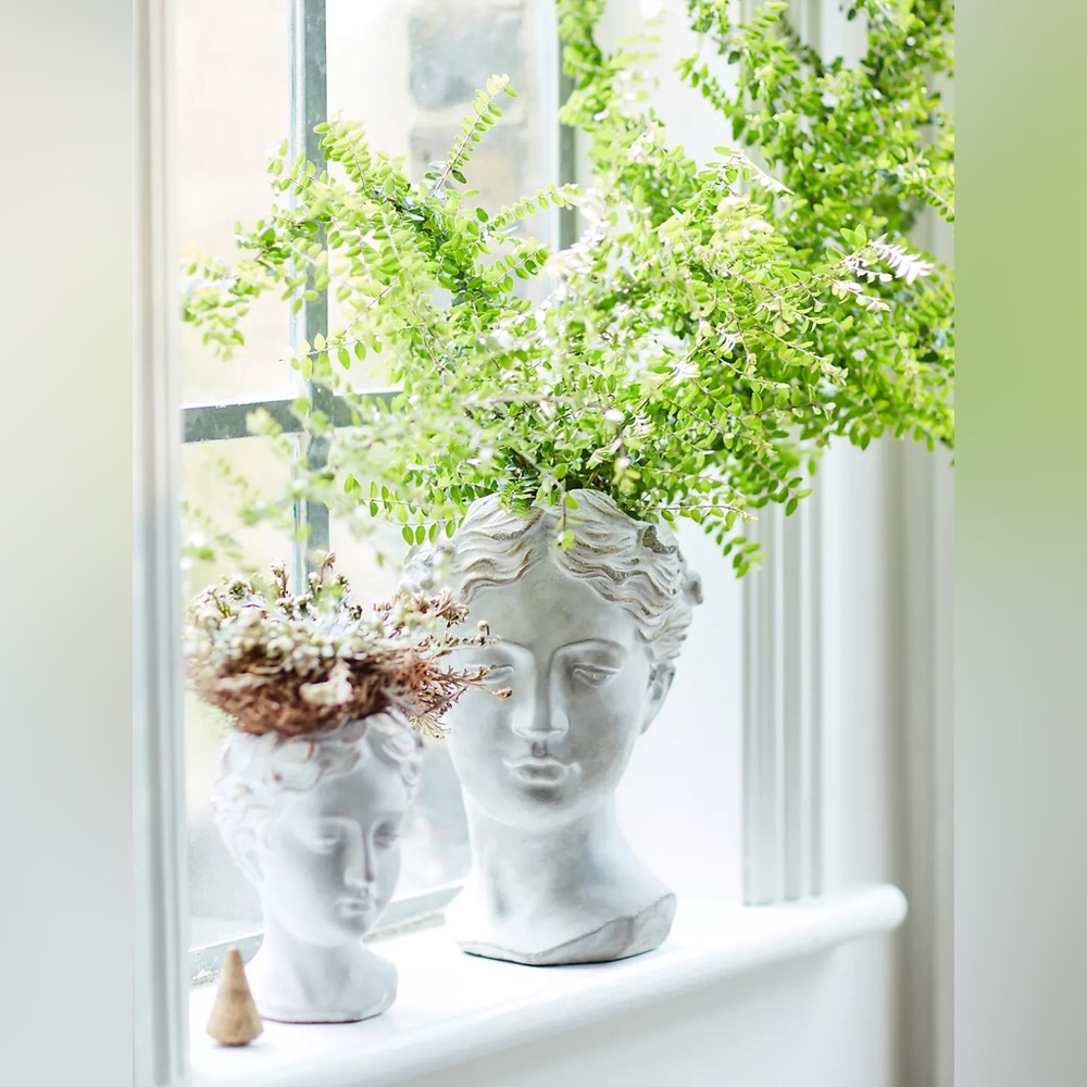 Anthropologie SMALL Grecian Bust Cement Pont - Picture 3 of 11